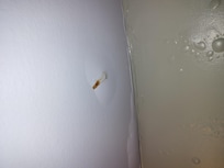 Water dripping