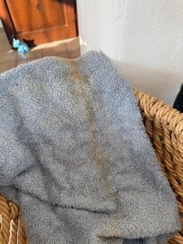 Stained towels