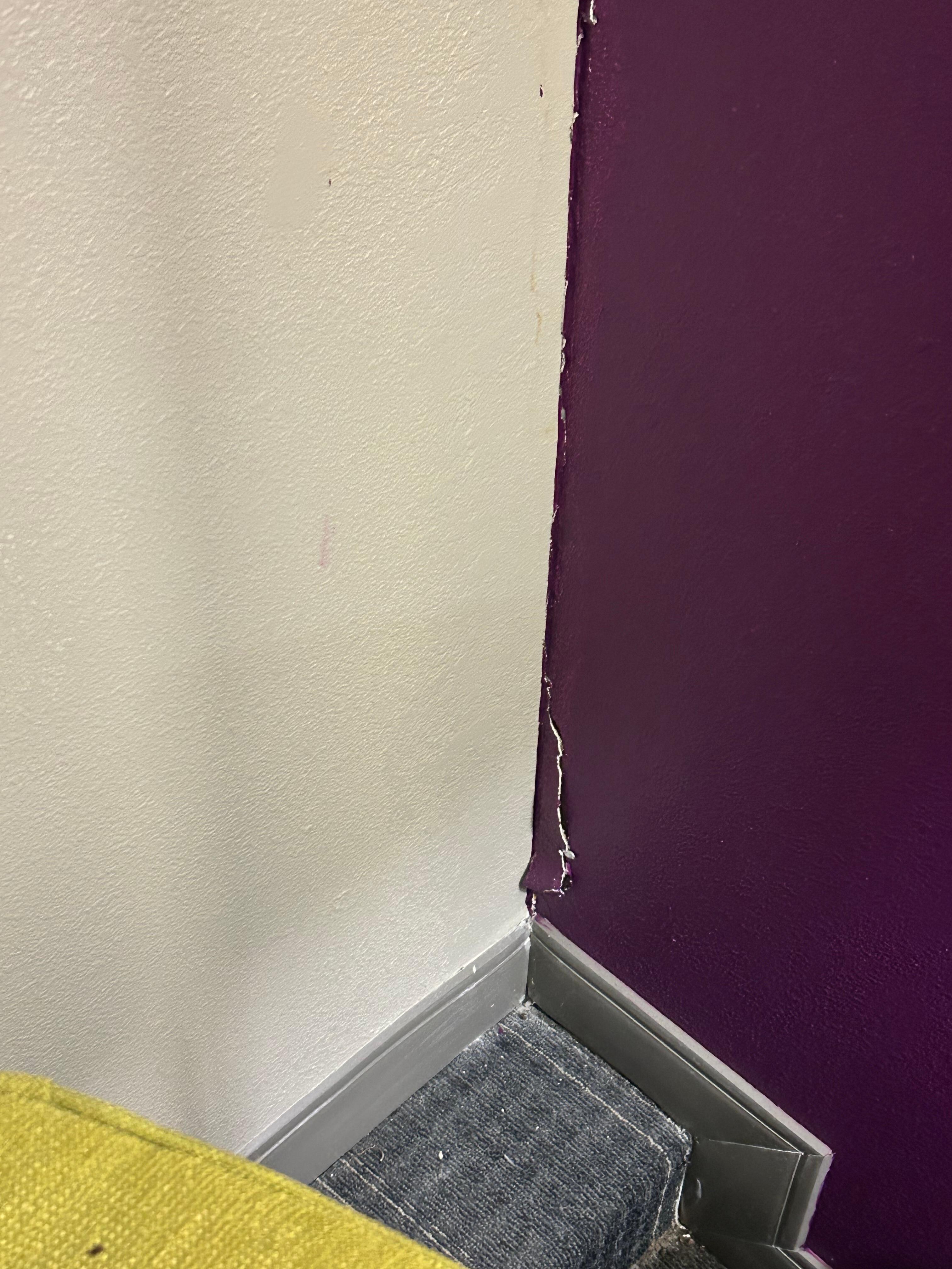 Wall separating down right wall.
