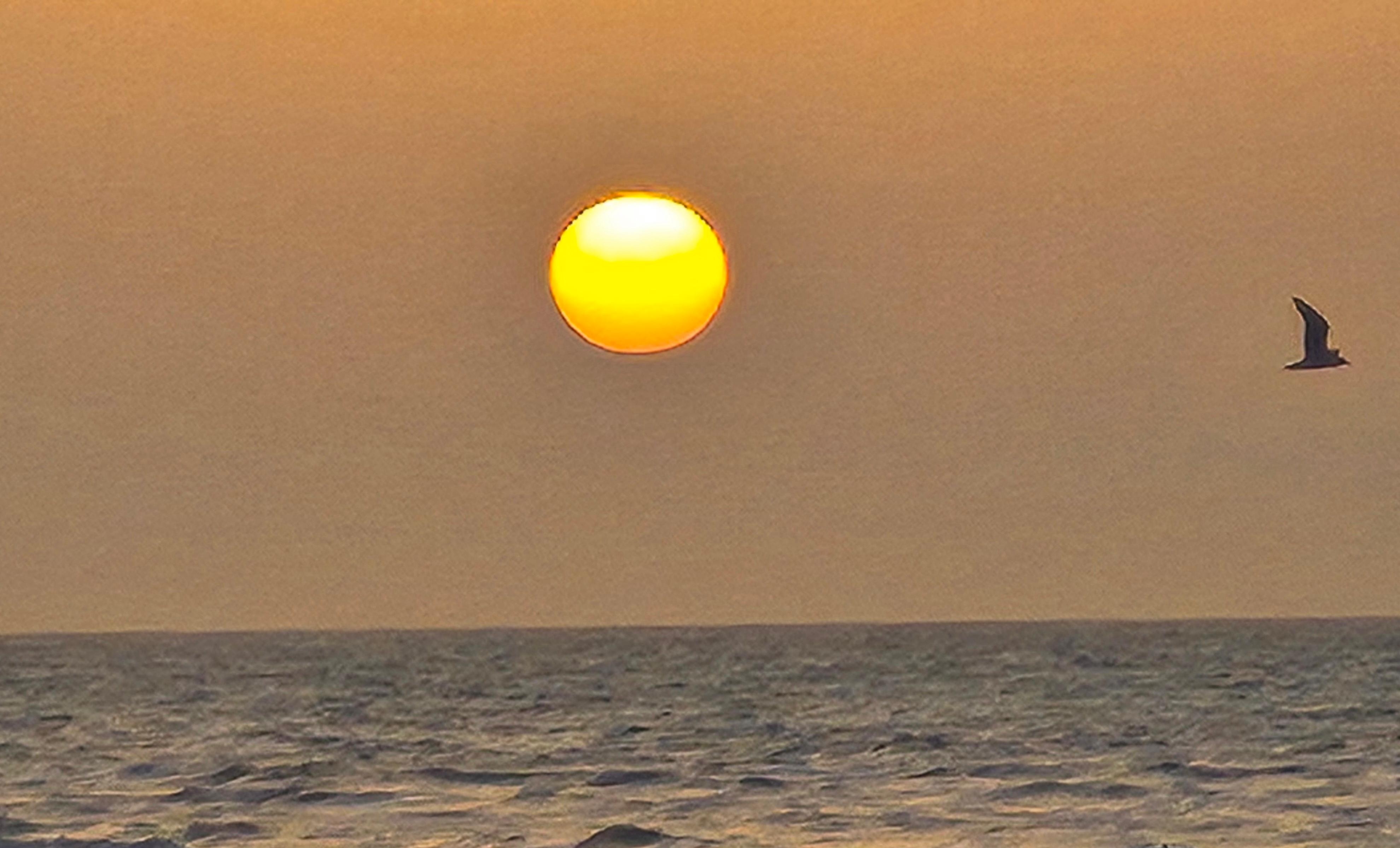 My morning Coffee View never gets old!