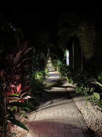 Pathway leading to the private suites
