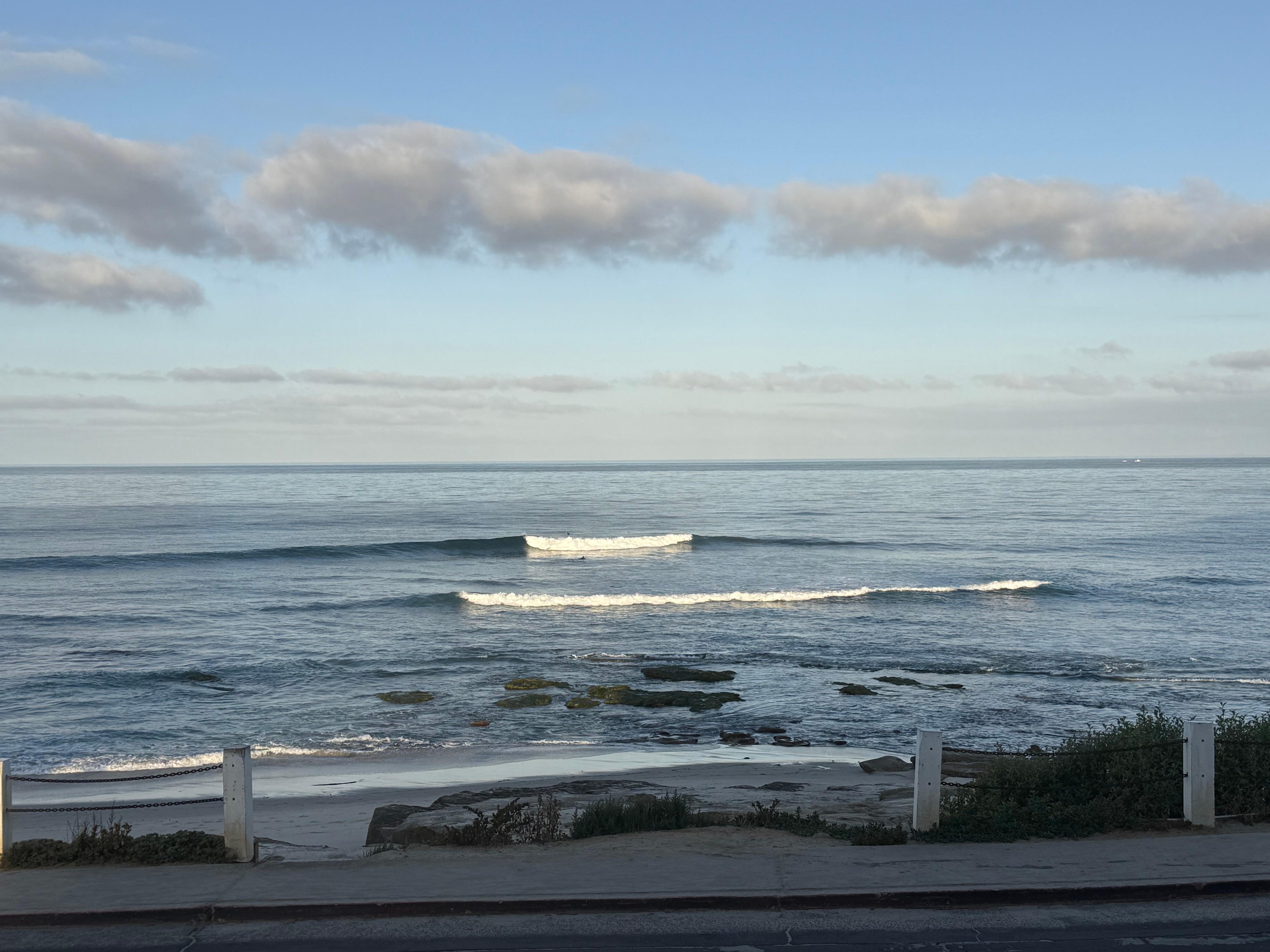 These are all views from our front window!!!
