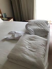 Bedroom- The cleaner was very good