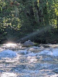 The river right outside the cabin