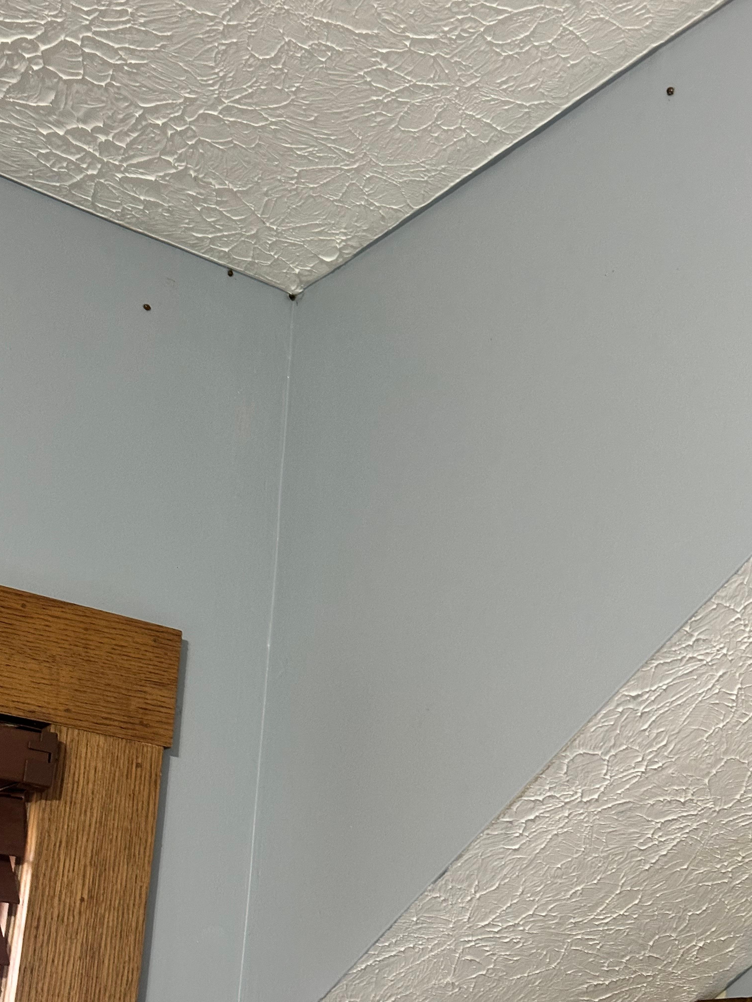 Infested with Asian beetles 