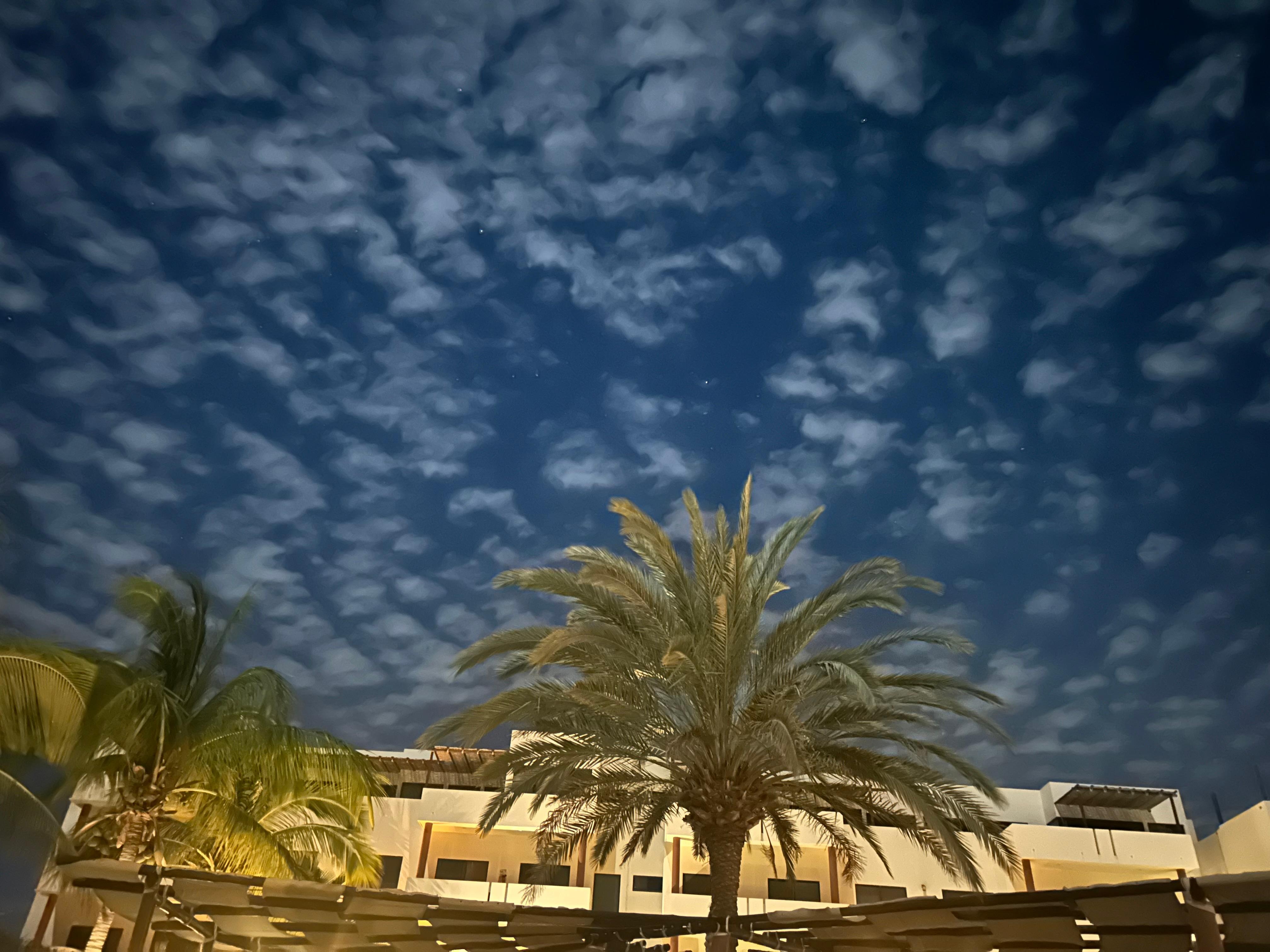 View from poolside chaise lounger