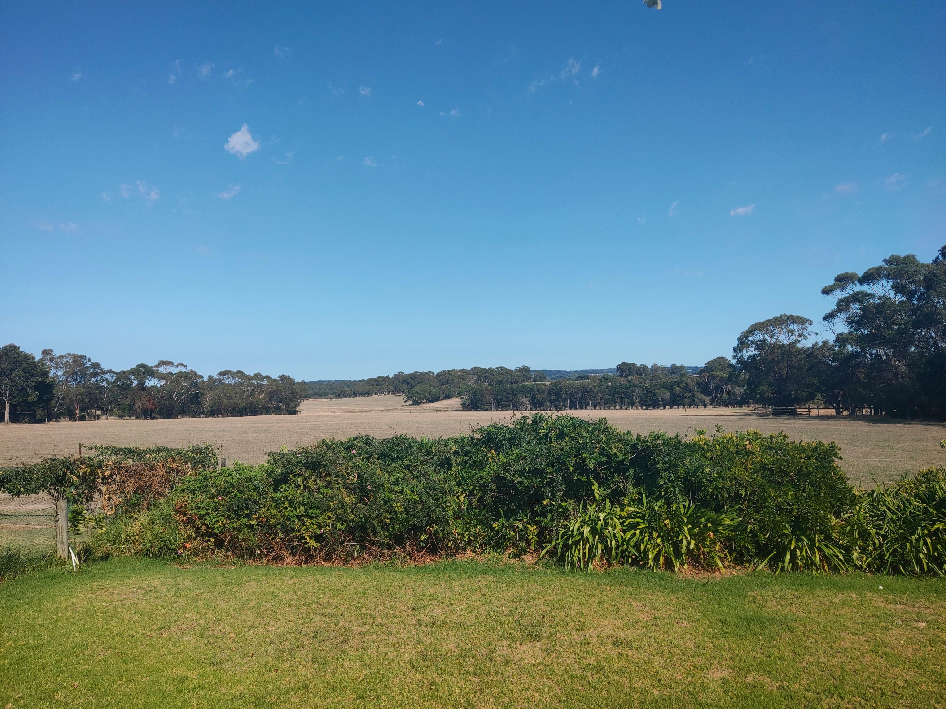 View from back door off verandah. 