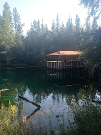 Beautiful fresh water springs for a day trip to see.