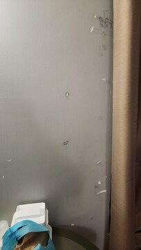 Damaged wall