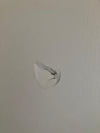 hole punched into door