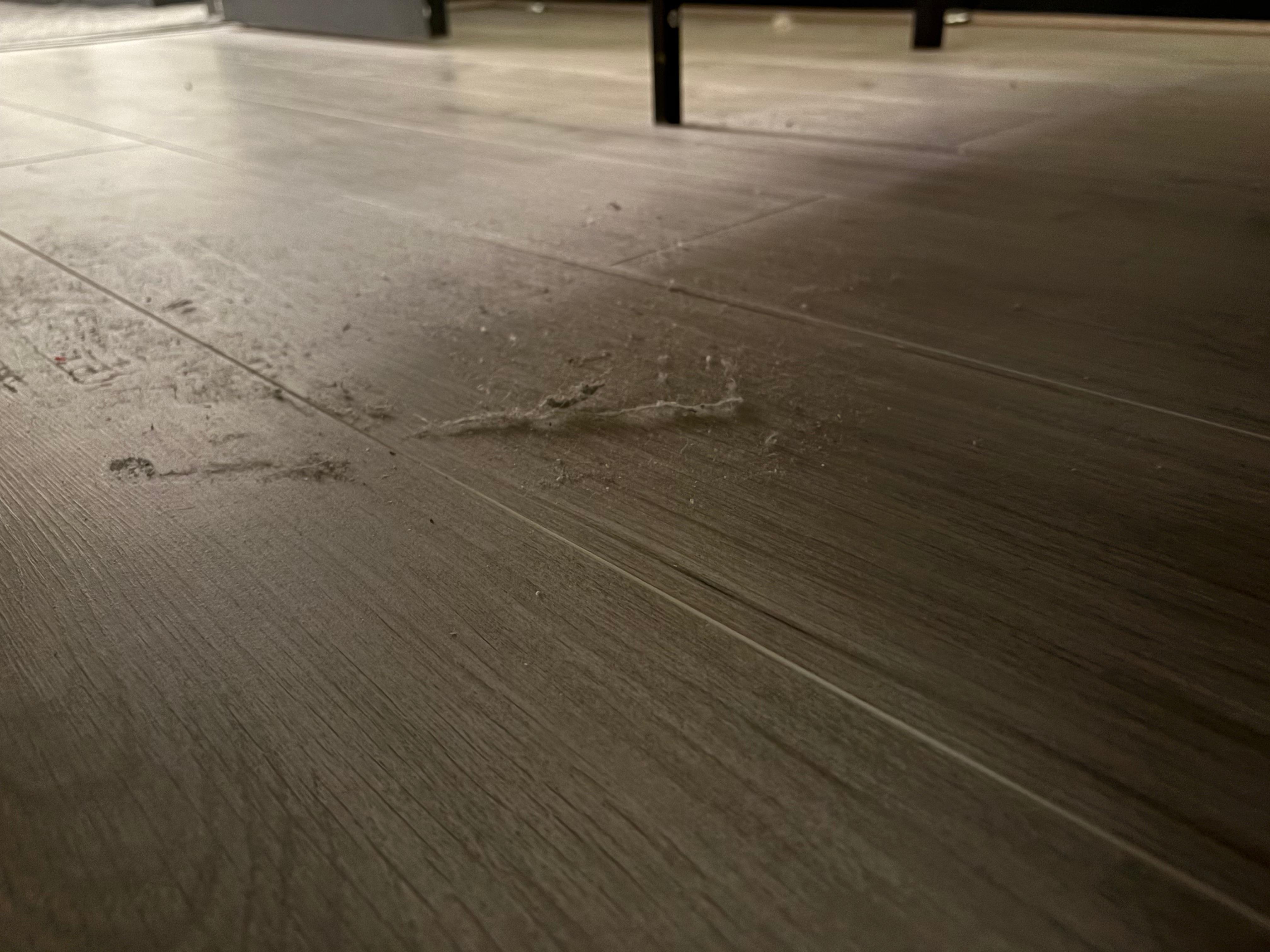 Dust under the bed