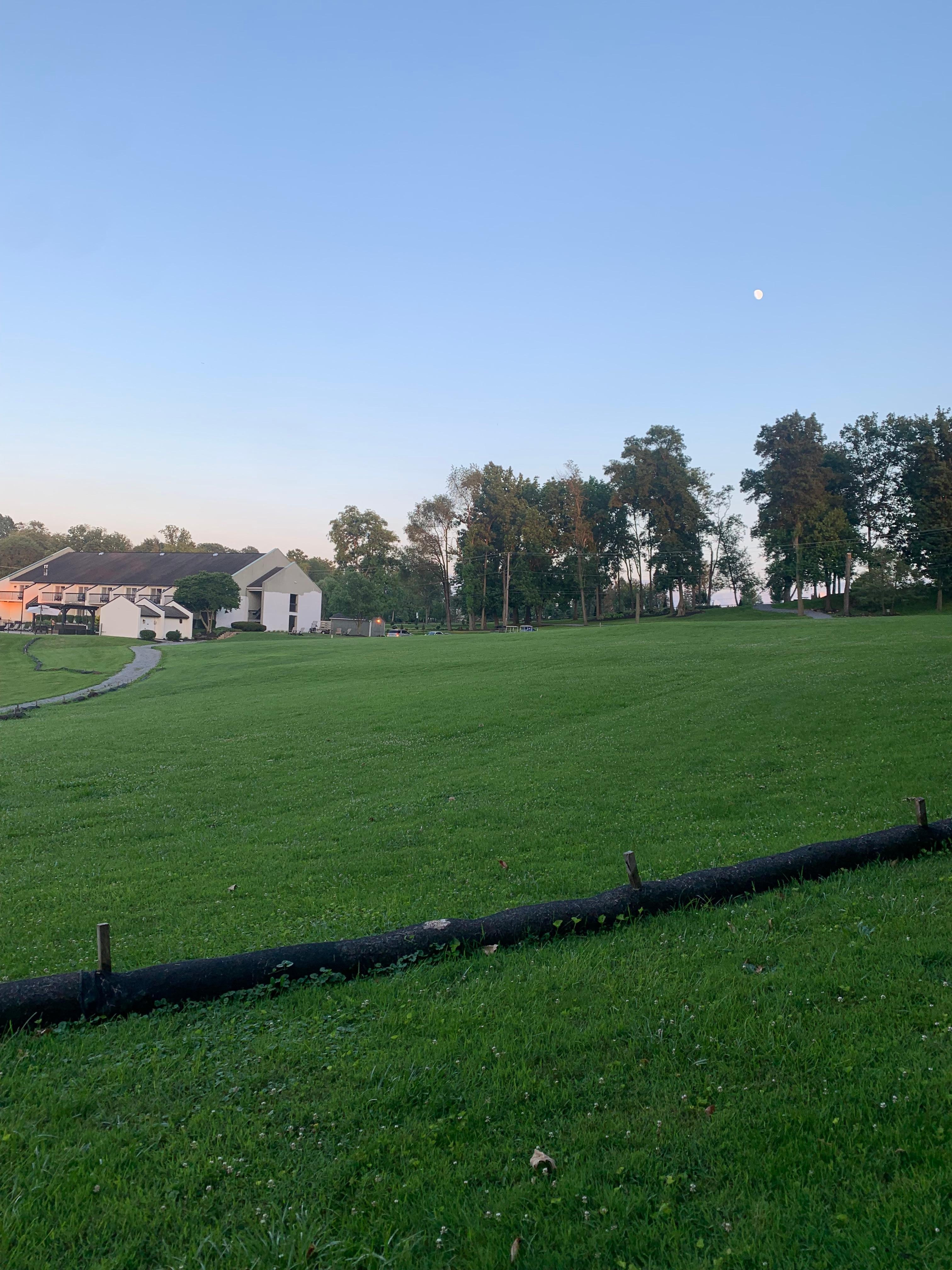 Scene