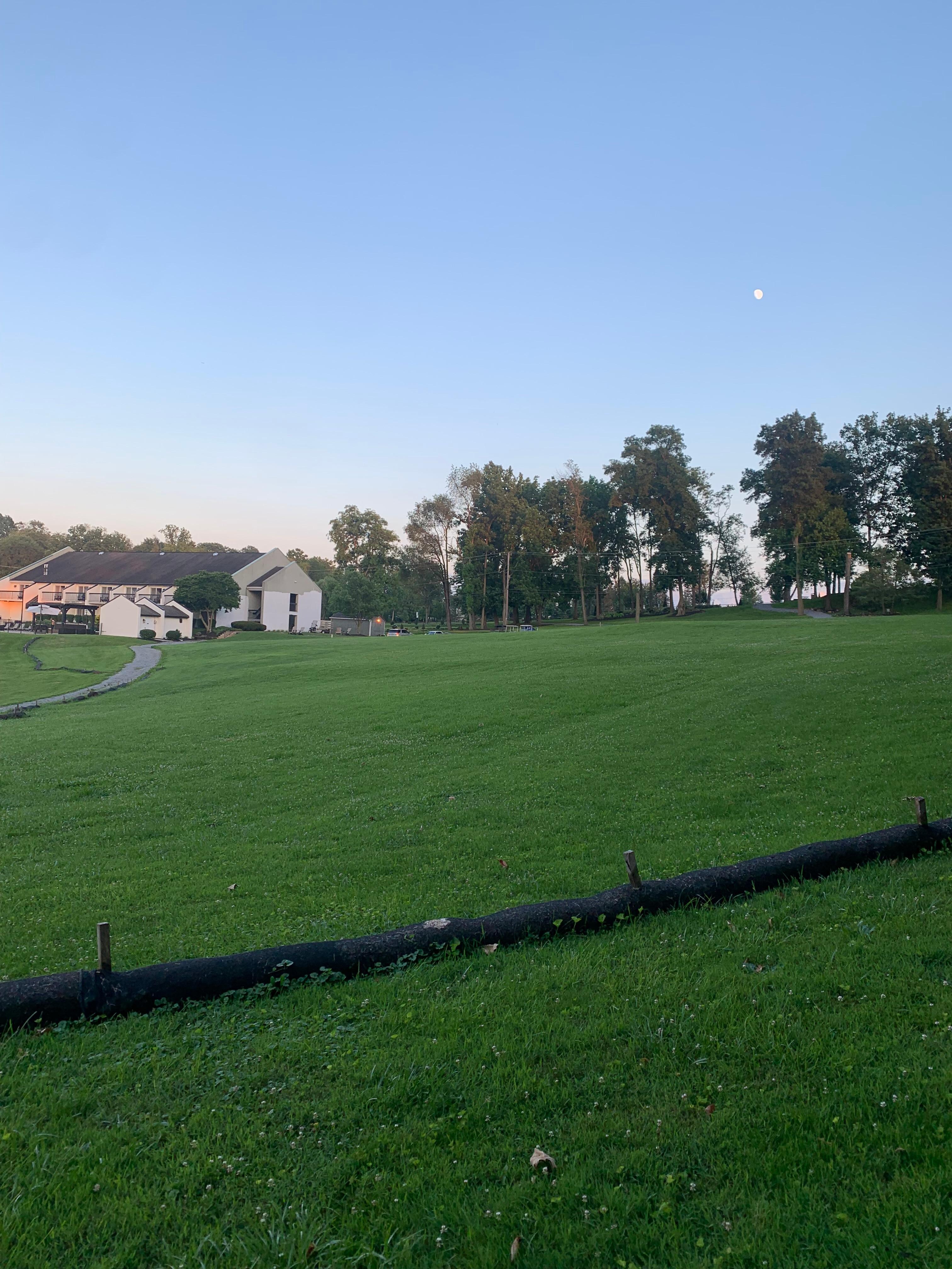 Scene