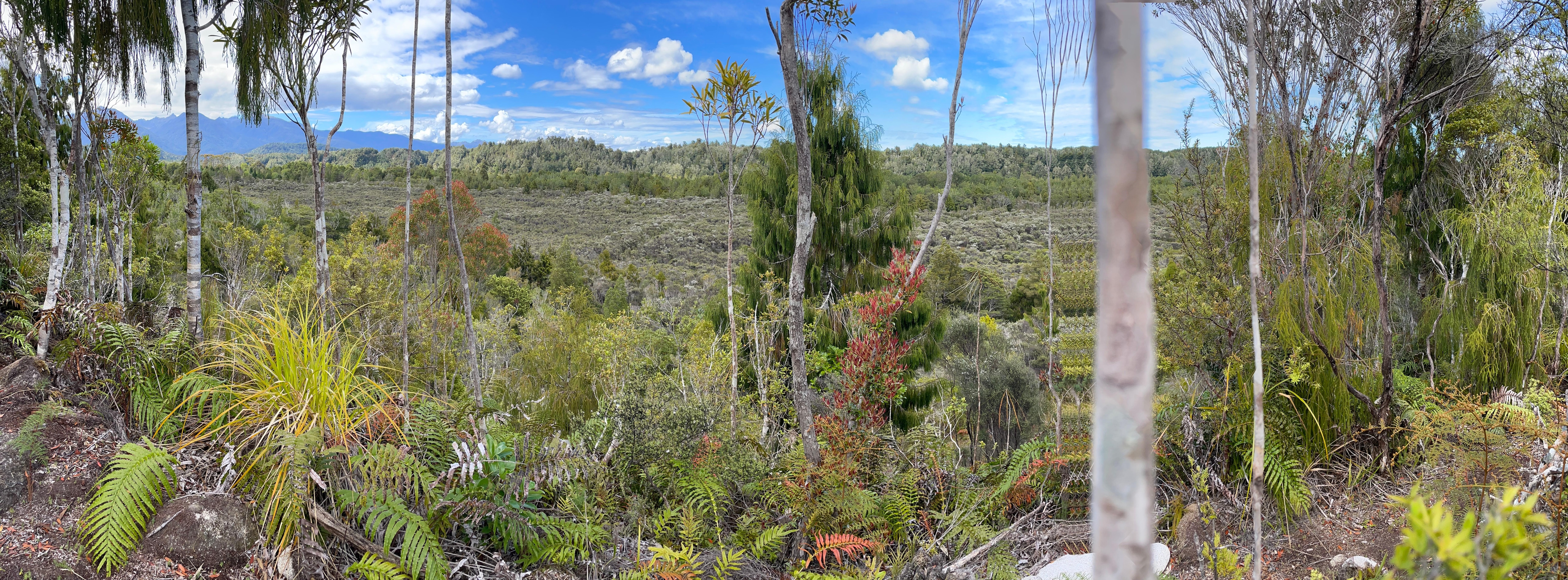 Panoramic view from the Lookout.
