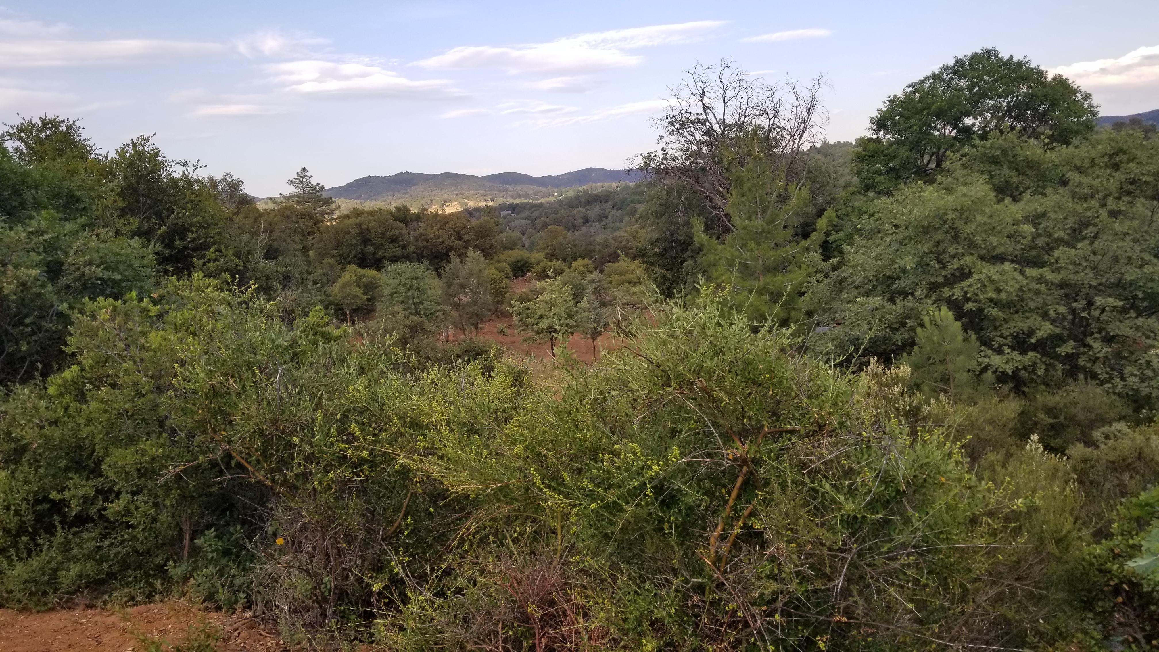 A view on an quiet afternoon walk.