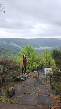 View from the house