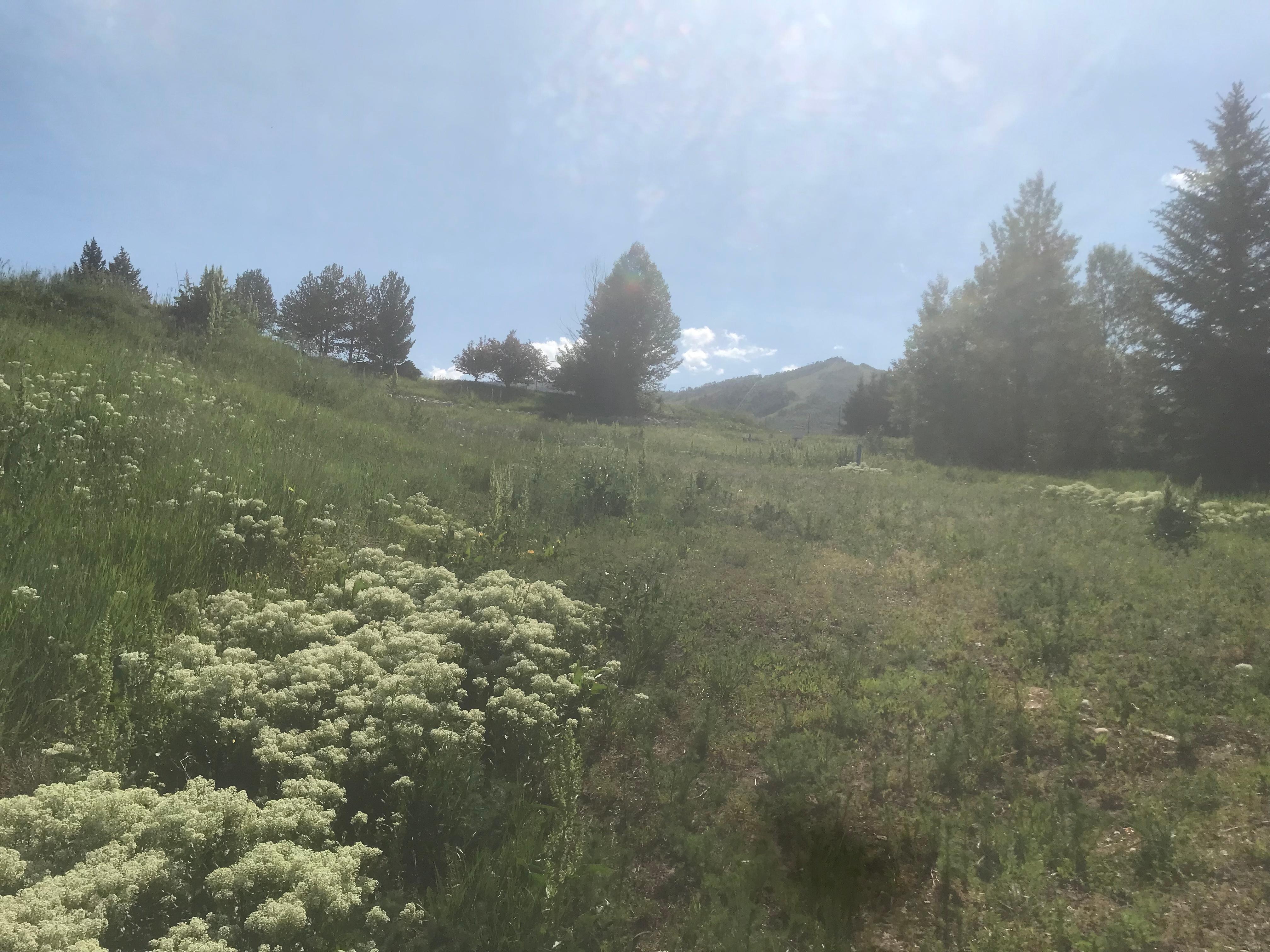 A little hike up from parking lot. Way pretty (don’t mind ugly phone photo- lense is broken)