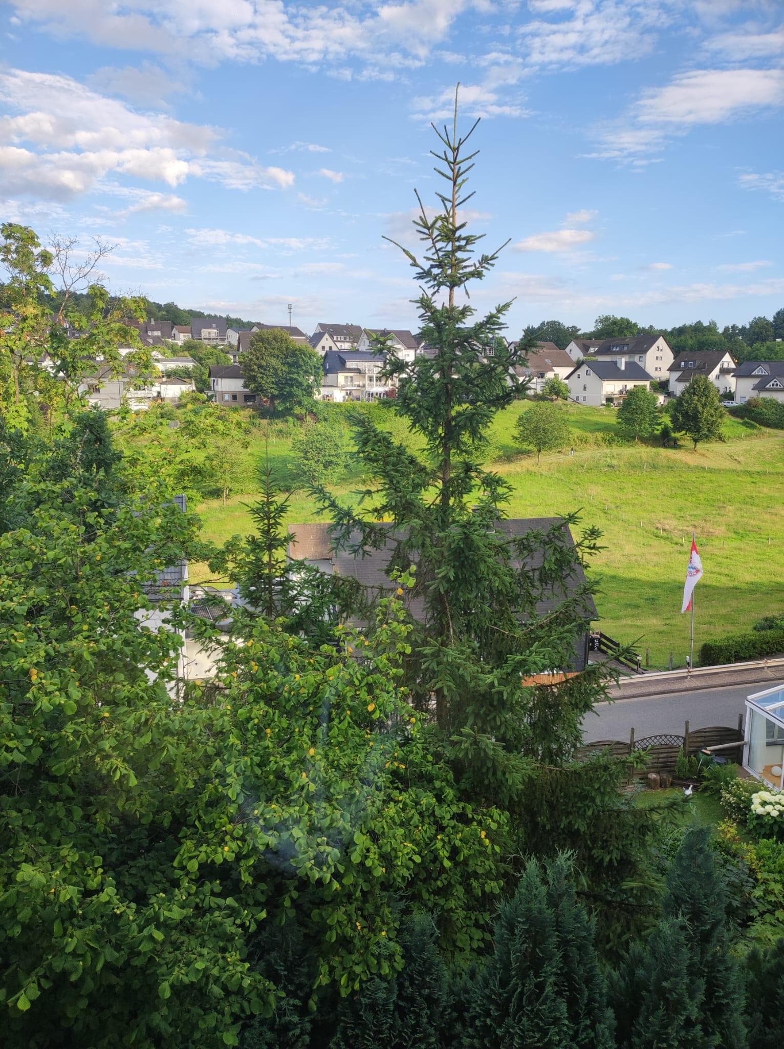 Ausblick aus dem Küchenfenster