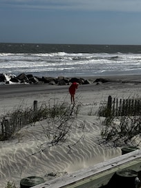 Blustery day