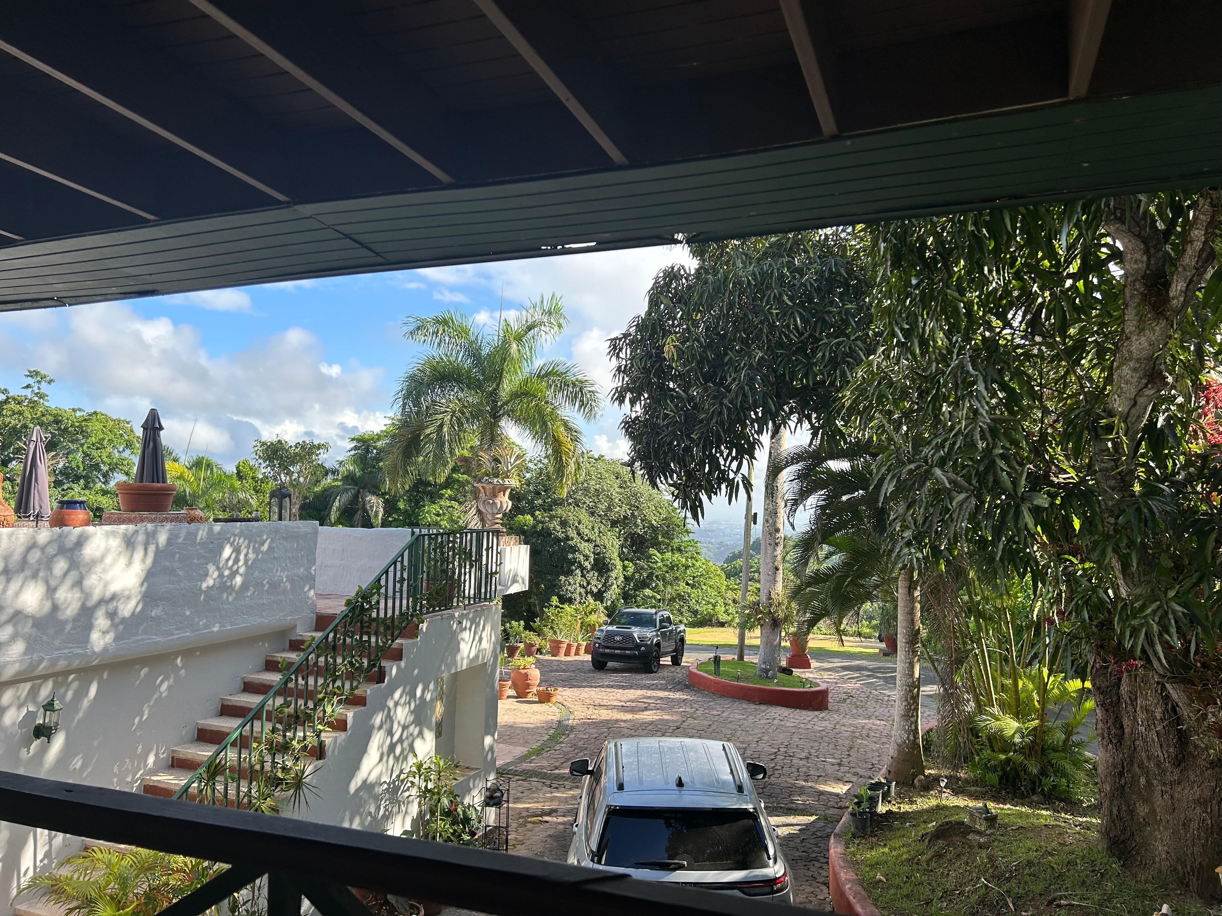 View from our terrace/main entrance area 