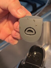 Roaches inside of the water bottle.