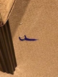 left over dental floss from prior guest