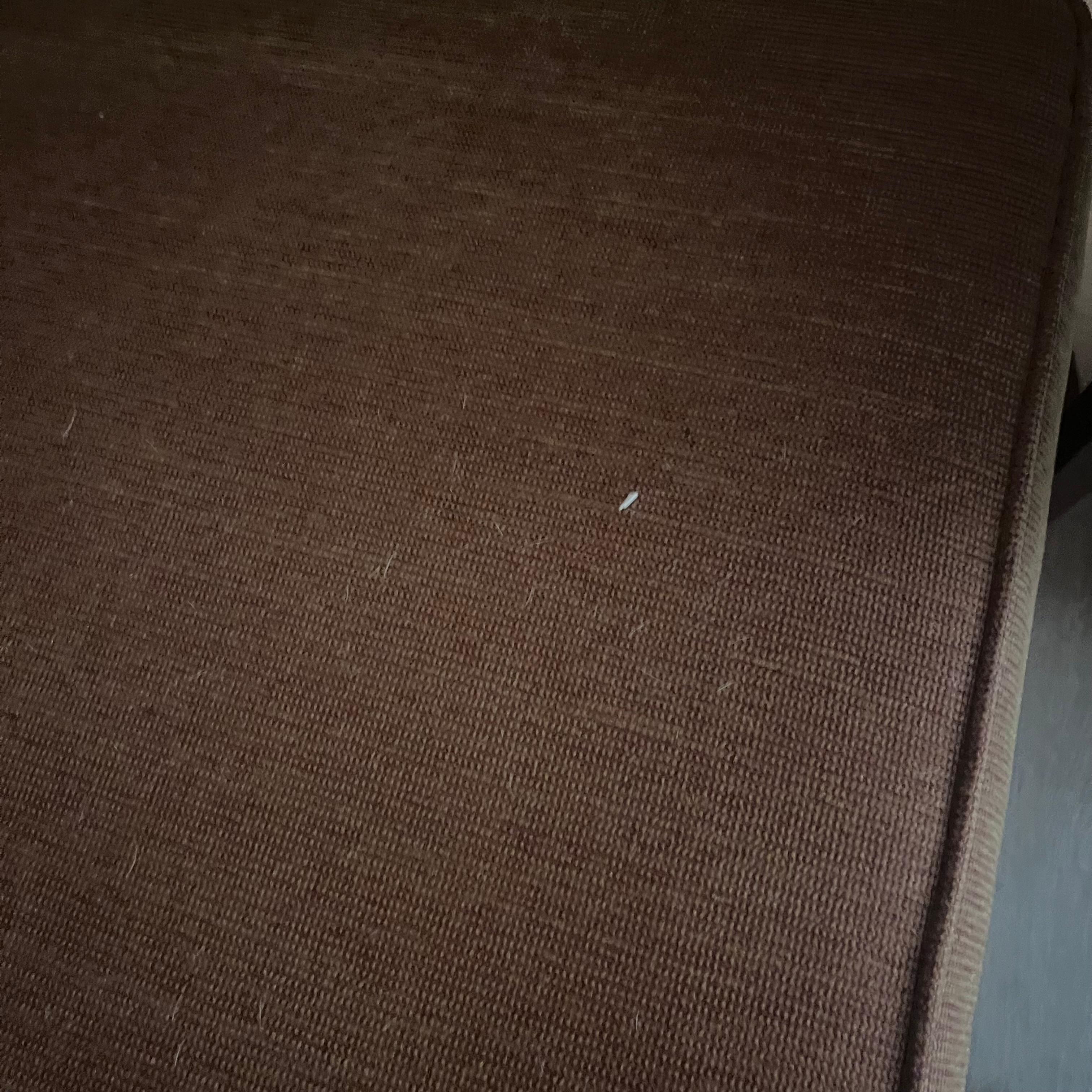 Animal fur on couch. 