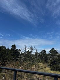 Great view from the deck!