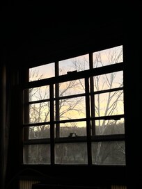 Morning view from the second king bedroom.