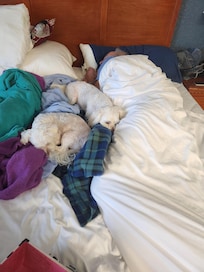 ALL WORE OUT IN SEATTLE