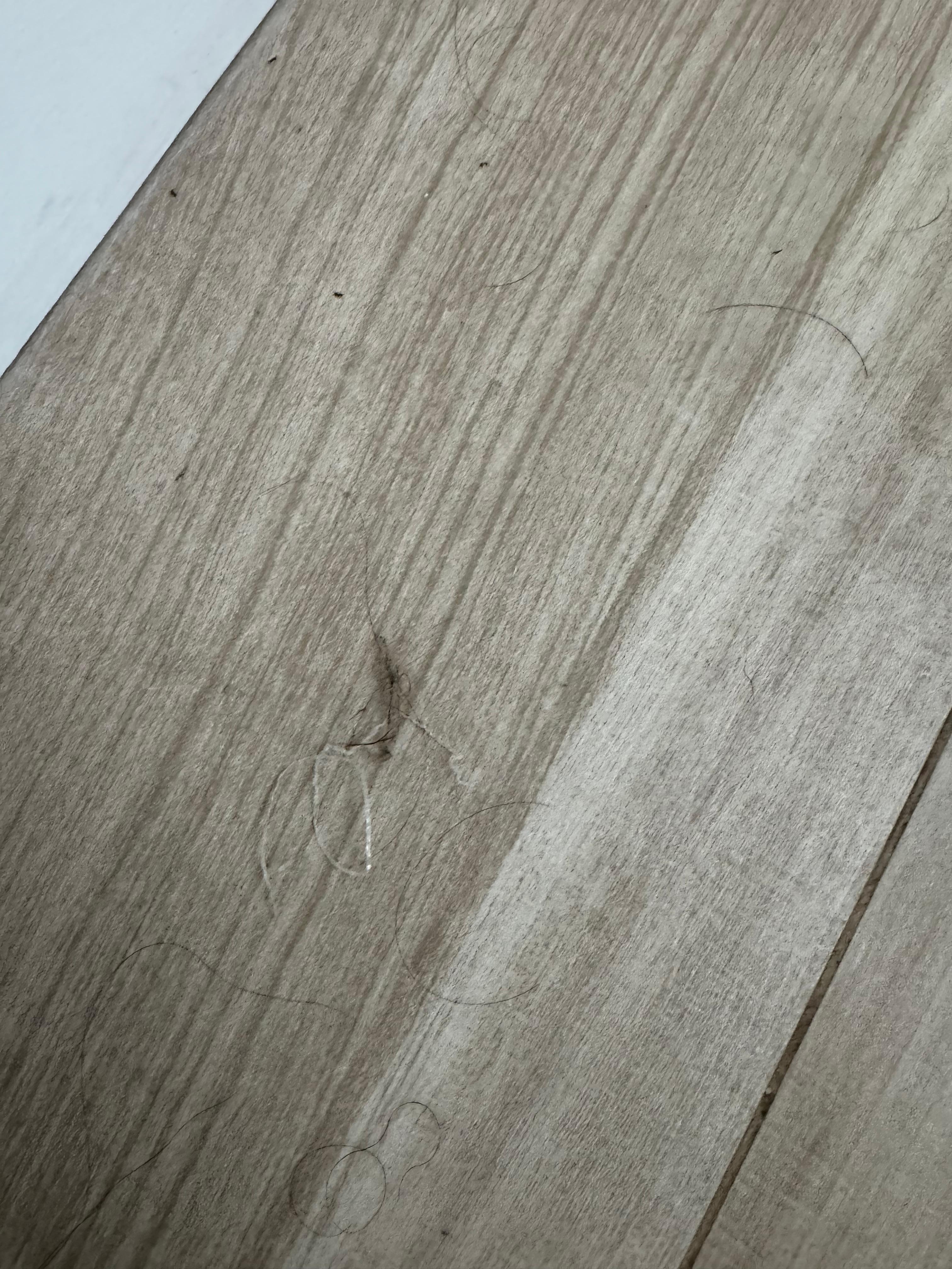 Hair on the floor definitely not ours