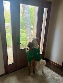 Squirrels kept their attention!