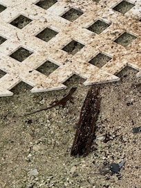 This is what we looked at while we were attempting to eat food in the dining hall. I get that some stuff will be laying around due to construction and I get the construction to make updates. But there was trash everywhere.