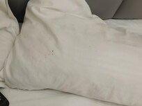 Hotel staff is clueless, horrible experience