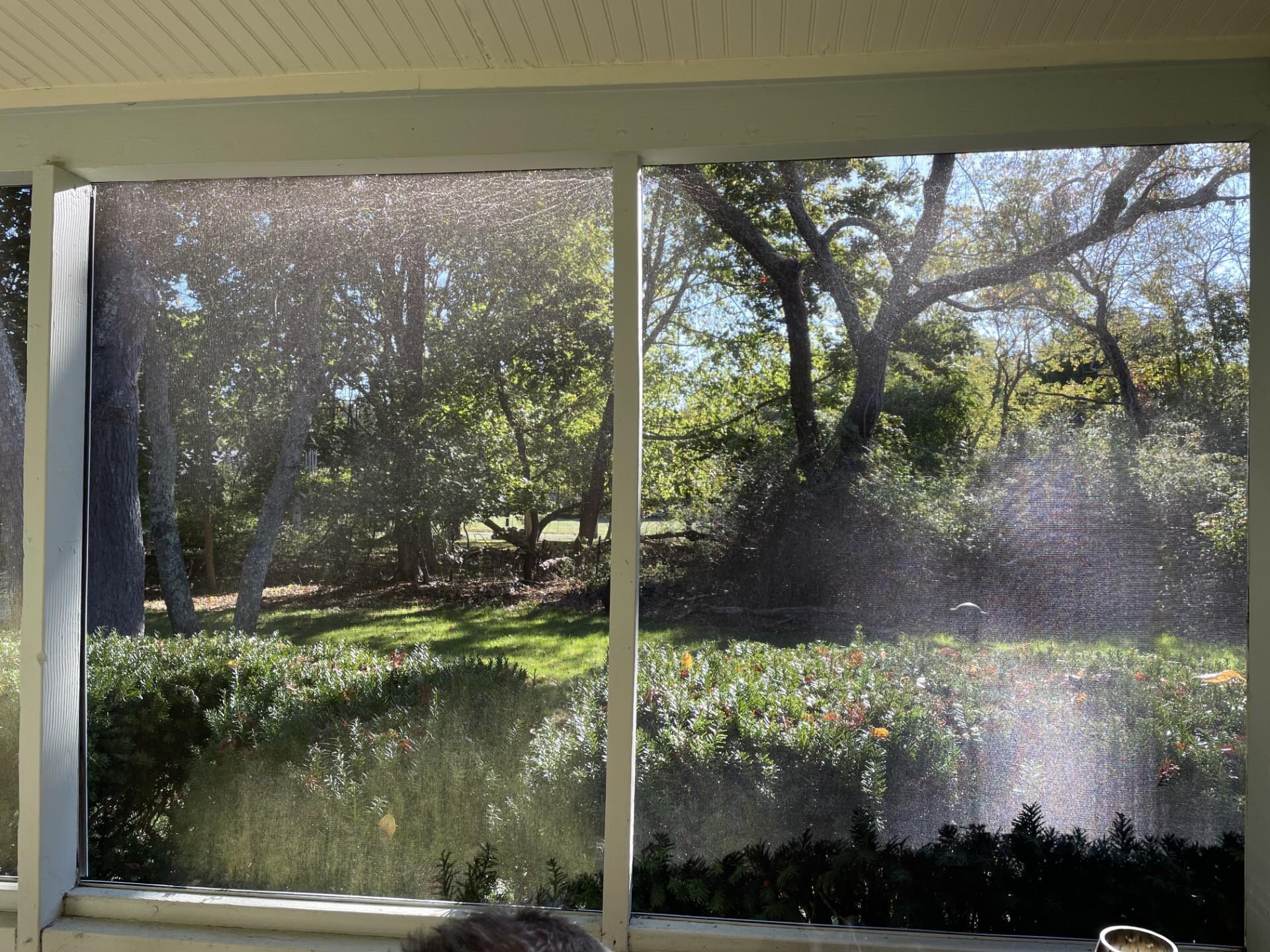 The beautiful view, sitting from the front enclosed porch. 