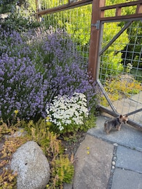 Landscaping was lovely