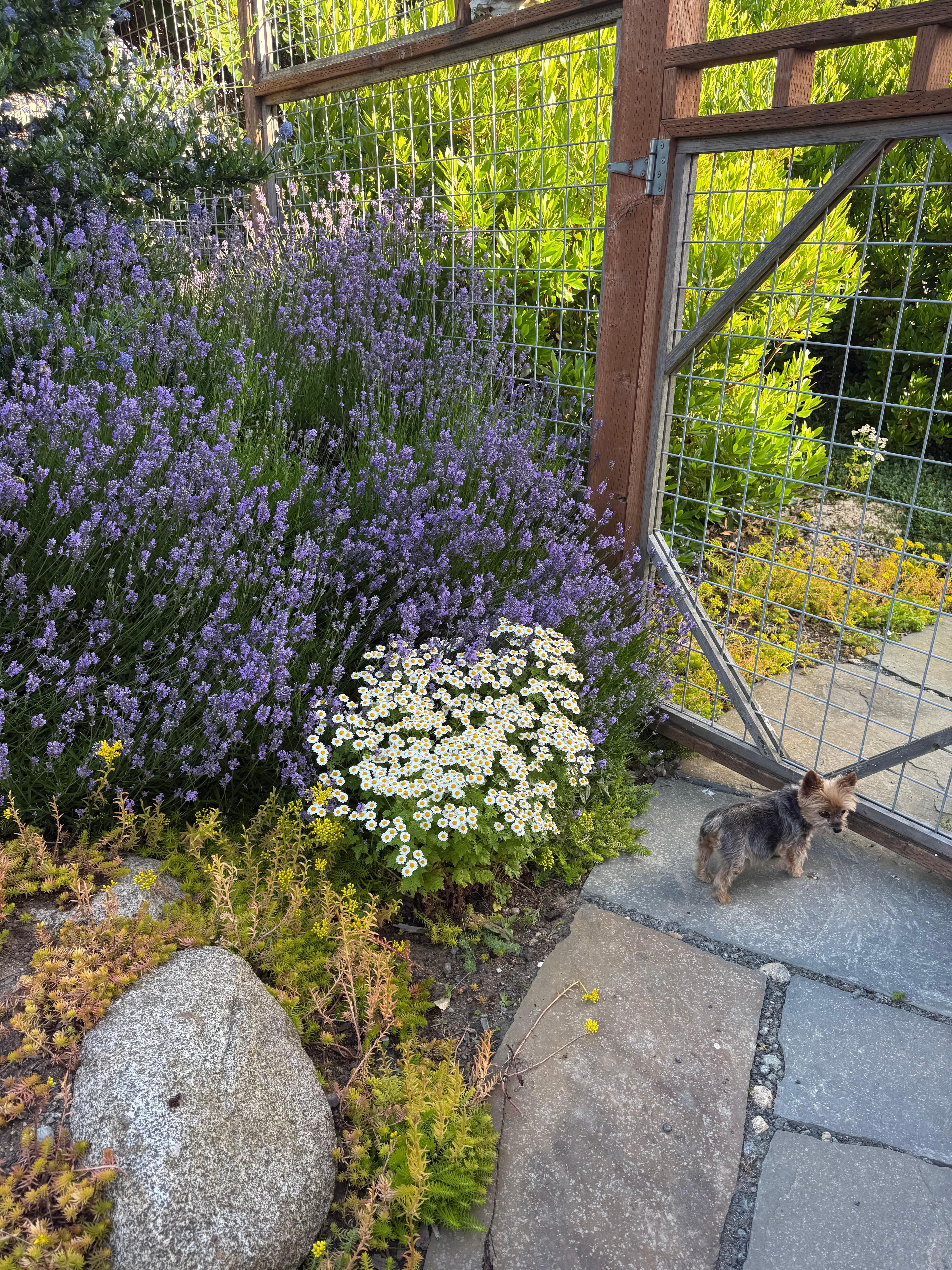 Landscaping was lovely