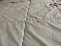 Both bed had red stains, possibly blood. They were washed, but the stains were set in.