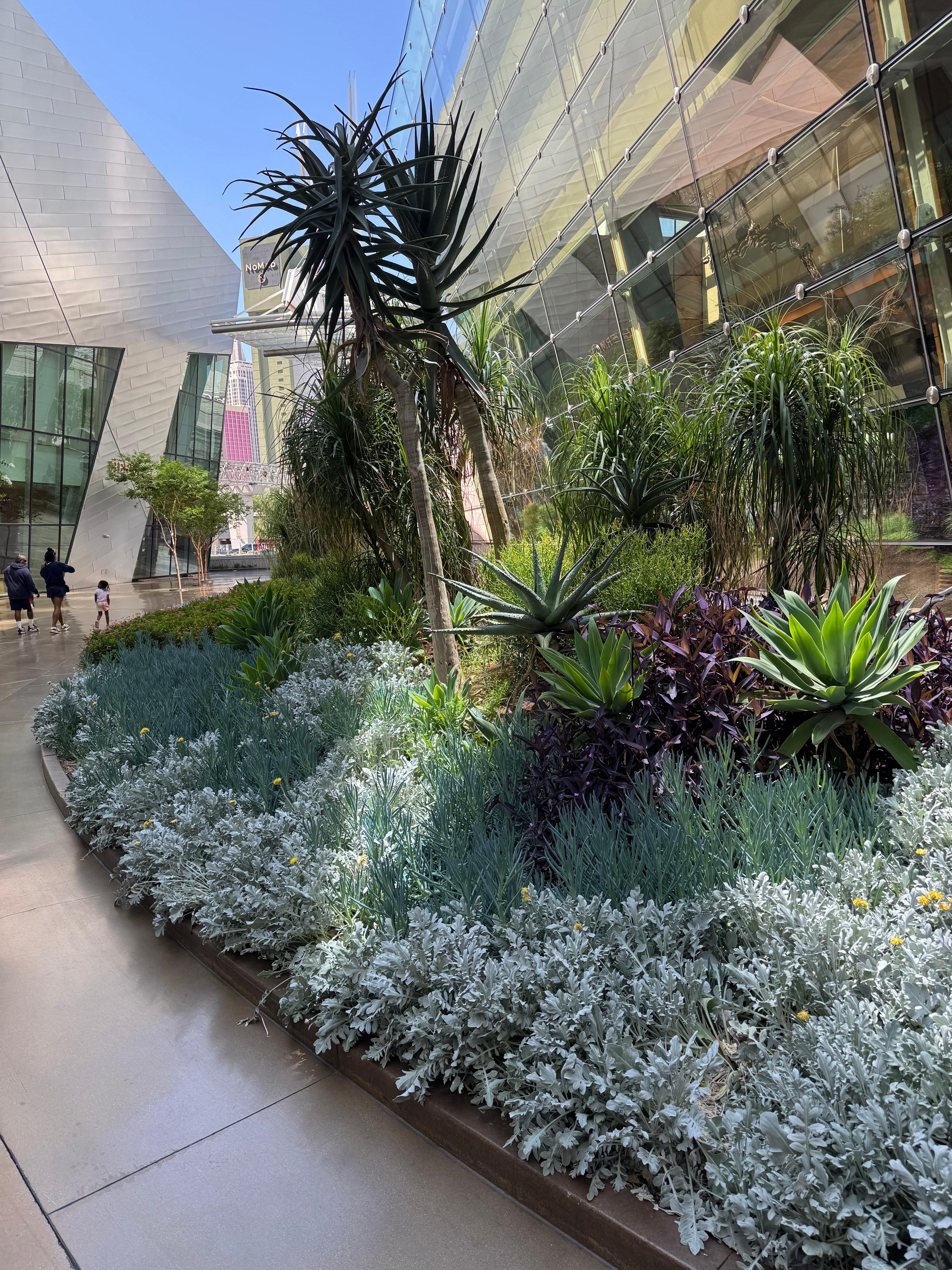 Various types of plants well displayed outside Aria