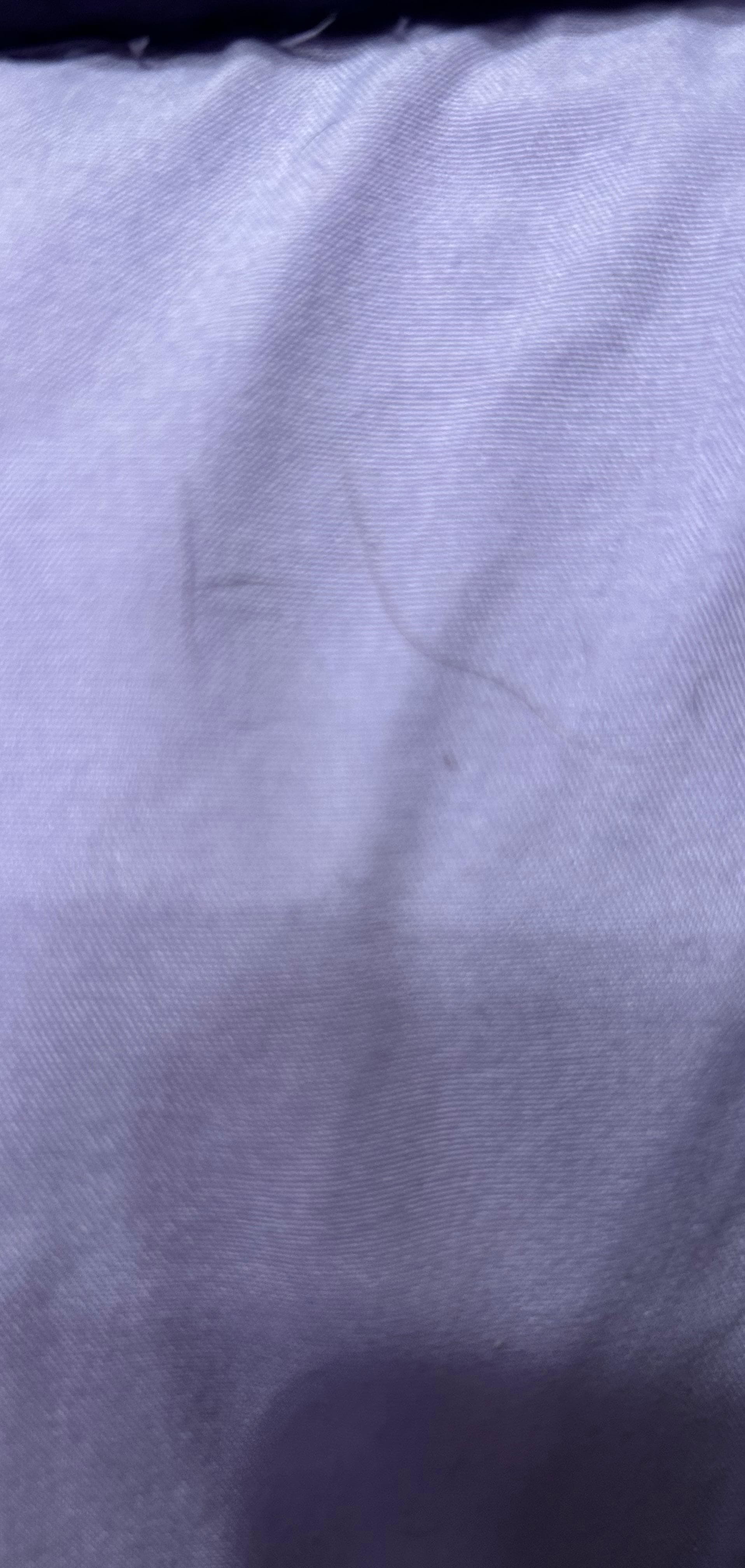 What appears to be pet hair on pillows upon checking in 