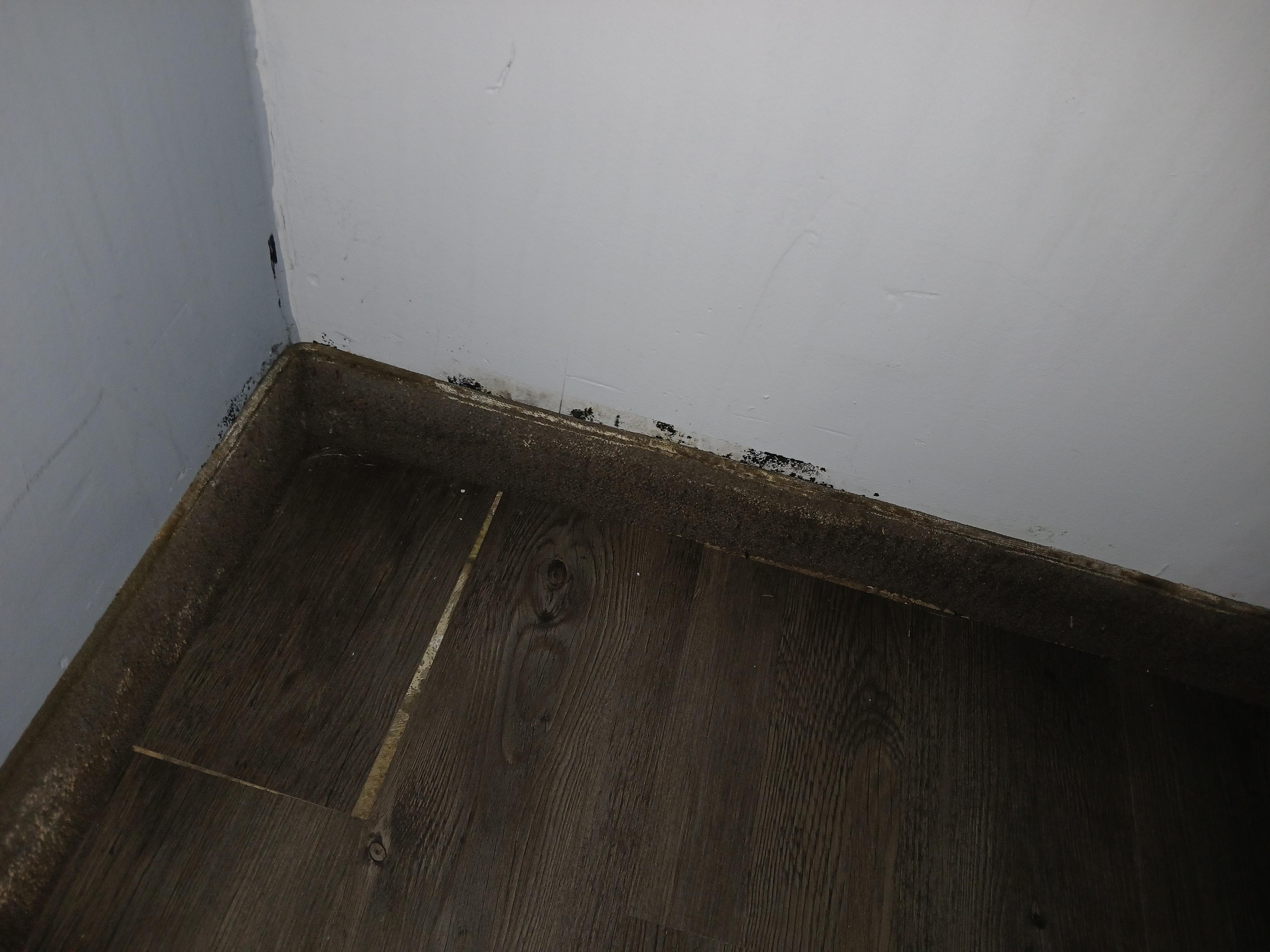 Shoddy work and possible mold in 1st room