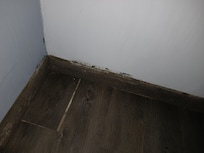 Shoddy work and possible mold in 1st room