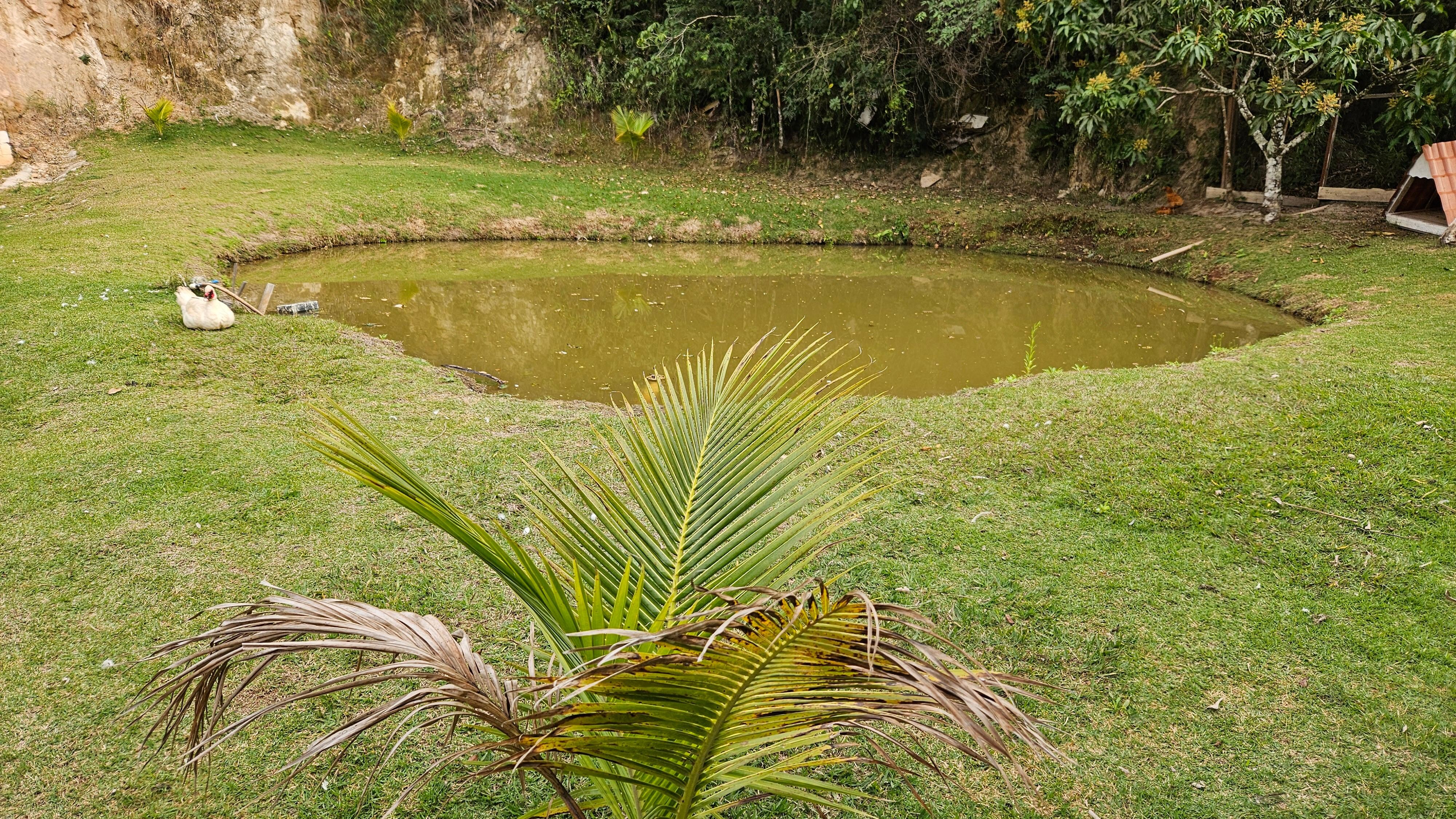 Lago na pousada