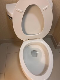 Zoom in to see the urine on the toilet.