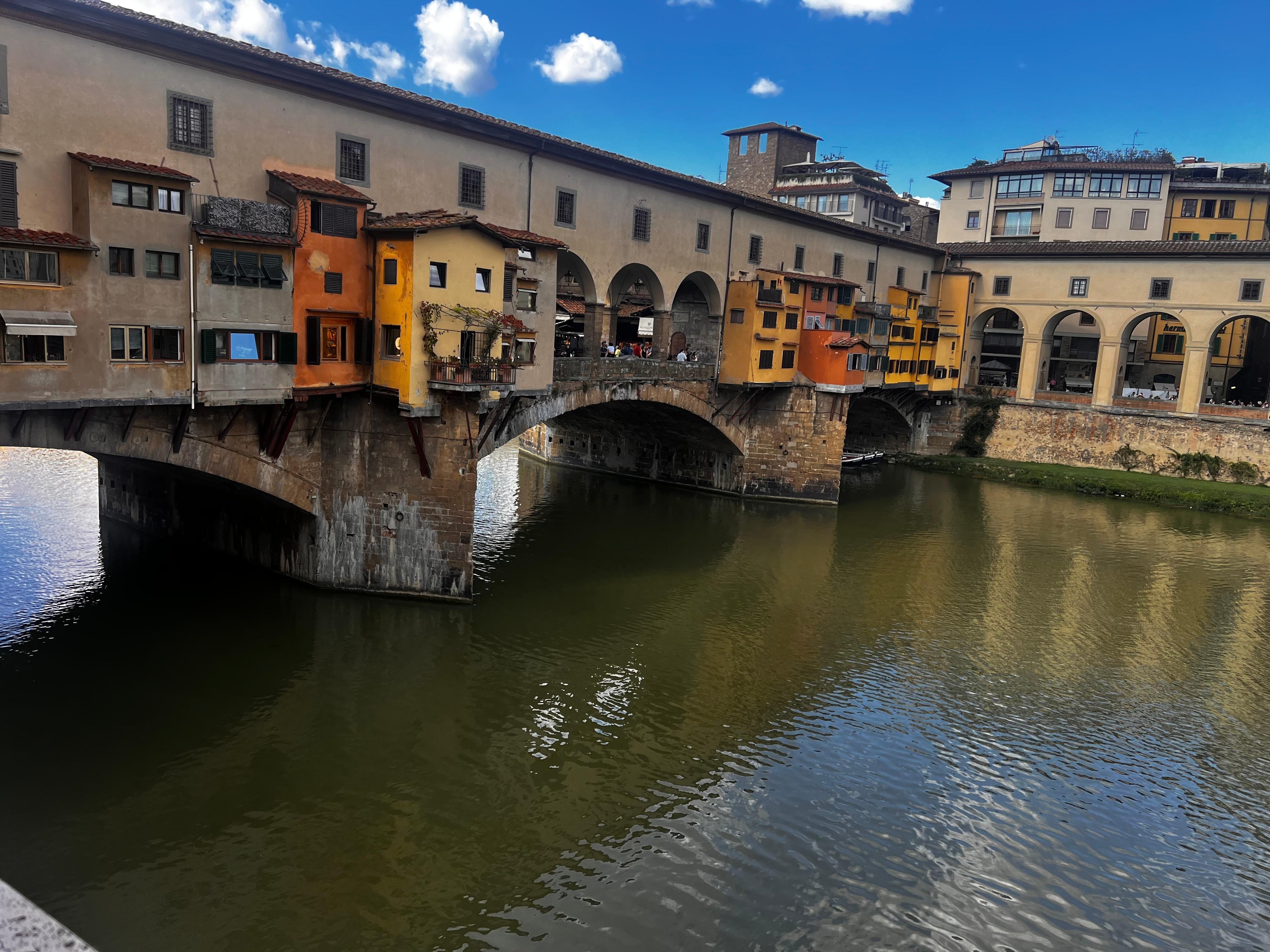 the view from the living room window