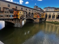 the view from the living room window