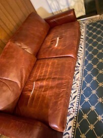 Torn sofa