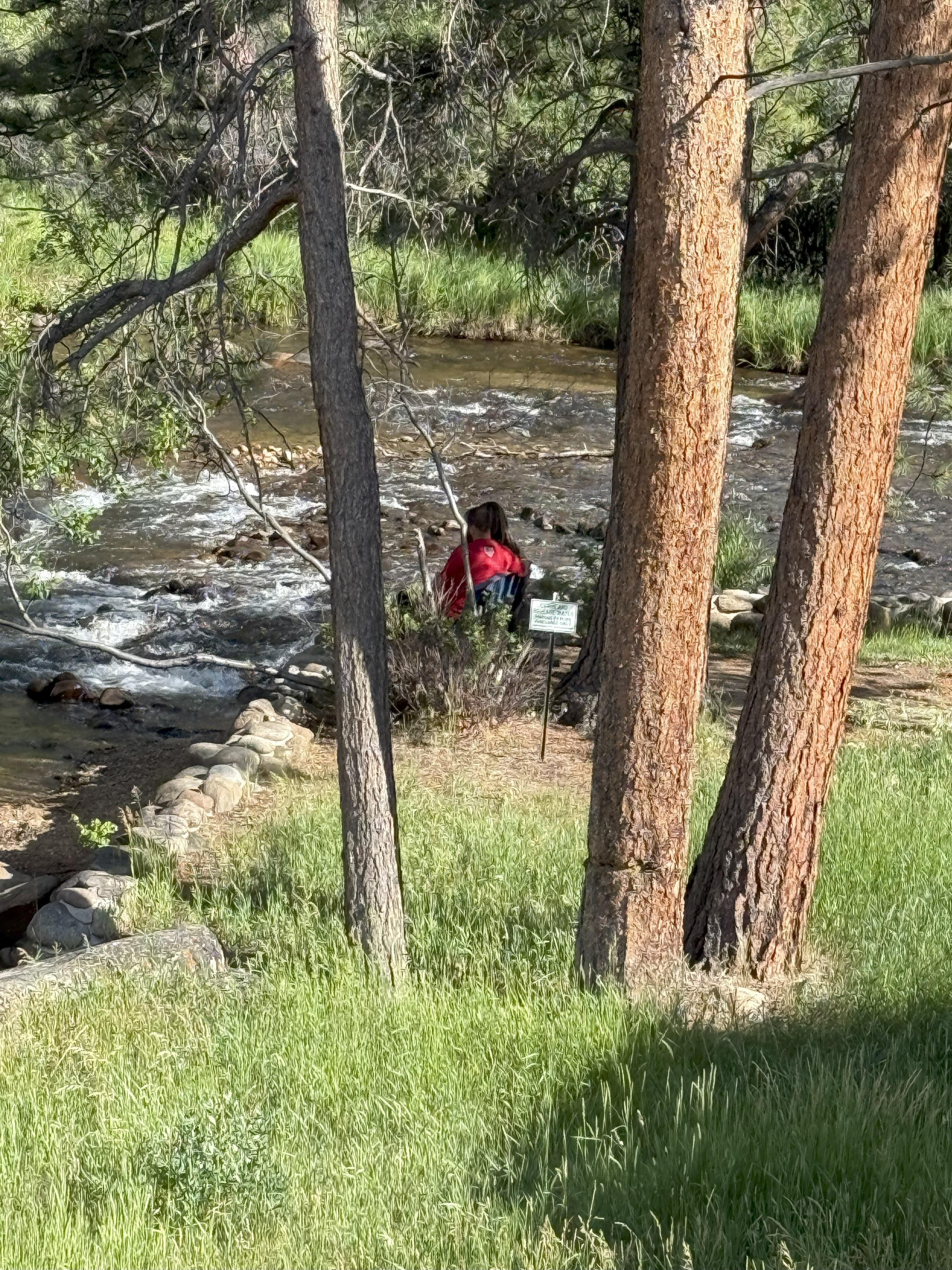 Bench by the river in the backyard.