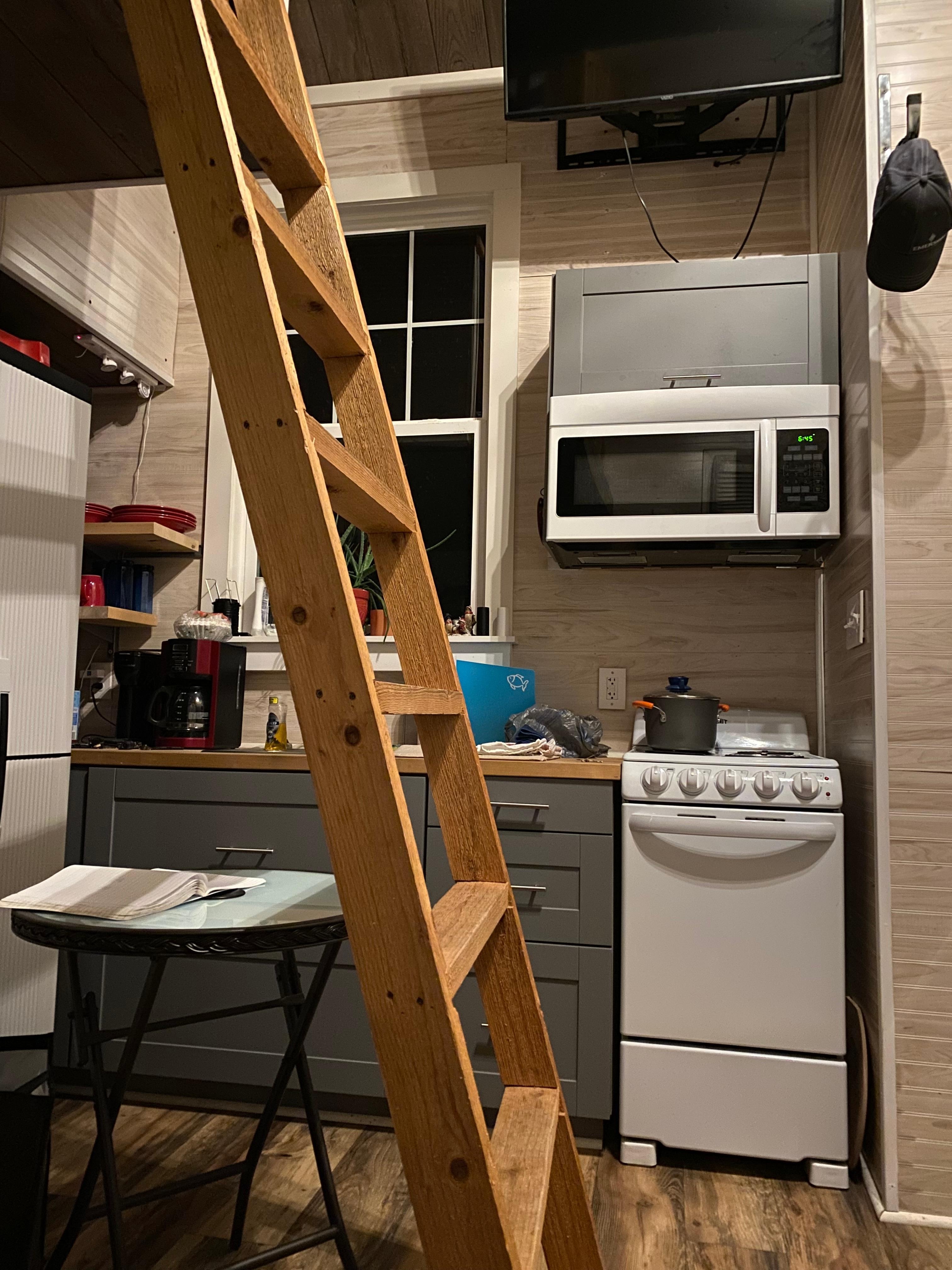 Ladder to the loft bedroom