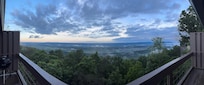 Panoramic view